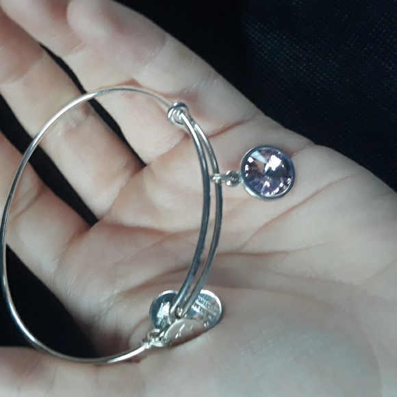 Alex And Ani charm bracelet - Picture 2 of 4
